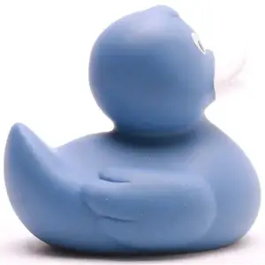 (image for) Amara Blue Duck