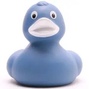 (image for) Amara Blue Duck