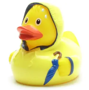 (image for) Bad Weather Duck