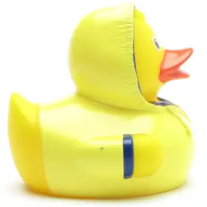 (image for) Bad Weather Duck