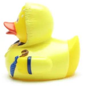 (image for) Bad Weather Duck