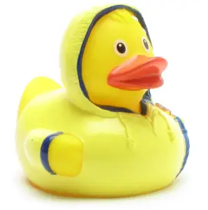 (image for) Bad Weather Duck