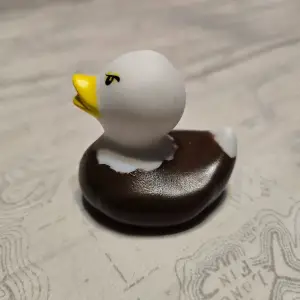 (image for) Bald Eagle Duck