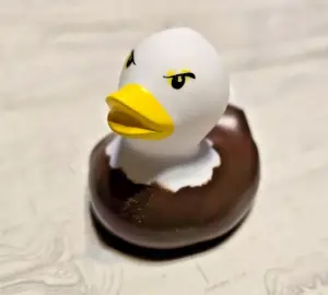 (image for) Bald Eagle Duck