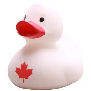 (image for) Canadian Maple Leaf Duck