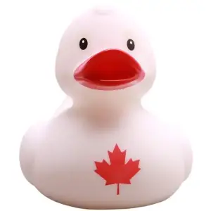 (image for) Canadian Maple Leaf Duck