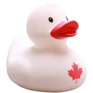 (image for) Canadian Maple Leaf Duck