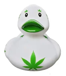 (image for) 420 Canna Duck