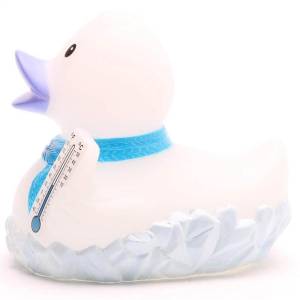 (image for) Winter Frozen Frosty Duck