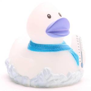 (image for) Winter Frozen Frosty Duck