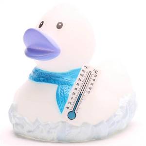 (image for) Winter Frozen Frosty Duck