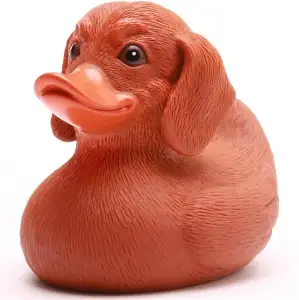 (image for) Dachshund Dog Duck