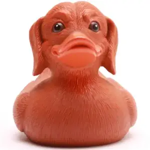 (image for) Dachshund Dog Duck