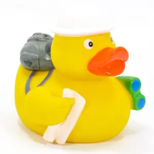 (image for) Explorer Duck