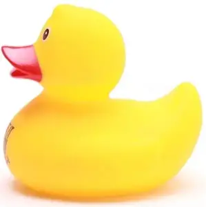 (image for) Fake It Till You Make It Duck