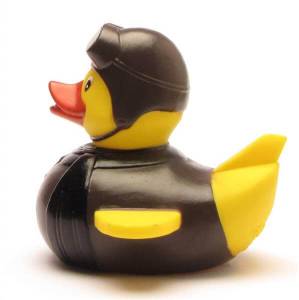 (image for) Old-Fashioned Pilot Duck