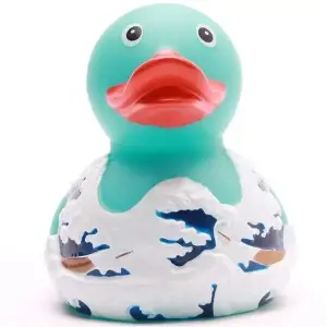 (image for) Fuji Wave Duck