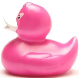 (image for) Elena Hot Pink Duck