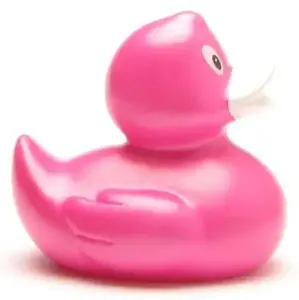 (image for) Elena Hot Pink Duck