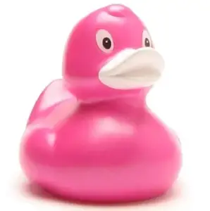 (image for) Elena Hot Pink Duck