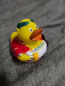 (image for) Italian Roman Duck