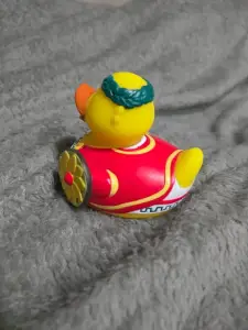 (image for) Italian Roman Duck