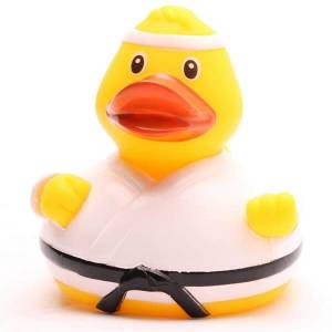 (image for) Karate Fighter Duck