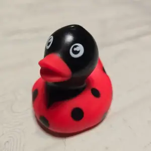 (image for) Ladybug Duck