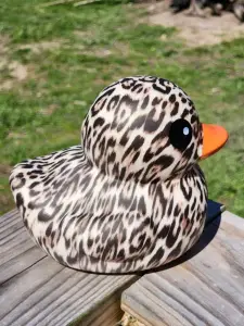 (image for) Leopard Print Duck