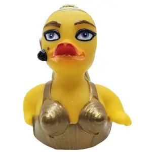 (image for) The Material Bird Duck