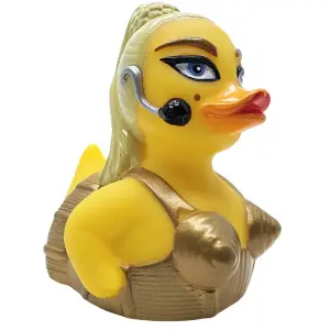 (image for) The Material Bird Duck