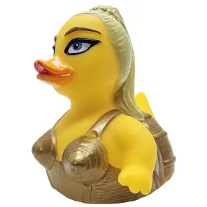 (image for) The Material Bird Duck