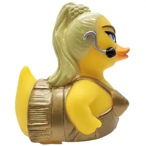 (image for) The Material Bird Duck