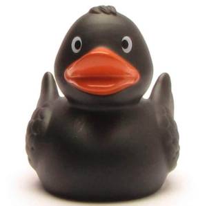 (image for) Merle Black Duck