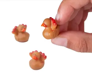 (image for) Turkey Micro Duck 3pc