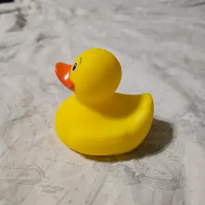 (image for) Middle Finger Duck