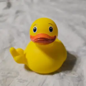 (image for) Middle Finger Duck