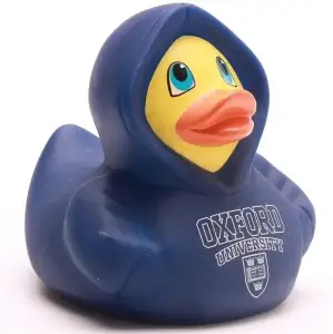 (image for) Oxford Hoodie Duck Blue