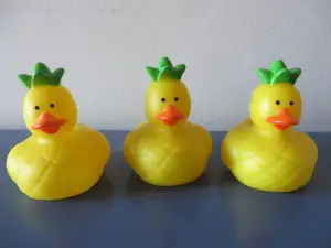 (image for) Pineapple Duck