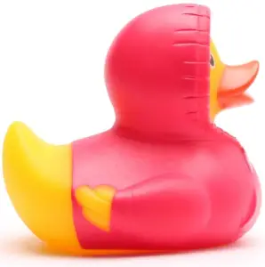 (image for) Pink Hoodie Duck