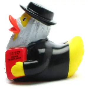 (image for) Elder Rabbi Duck