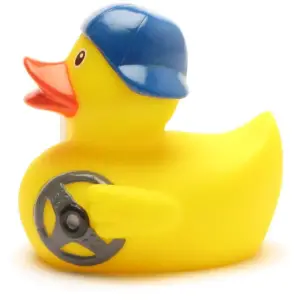 (image for) Novice Student Driver Duck