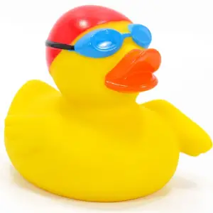 (image for) Swimmer Duck