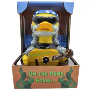 (image for) On the Pond Again Duck