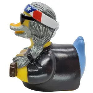 (image for) On the Pond Again Duck