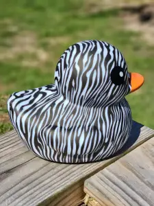 (image for) Zebra Print Duck