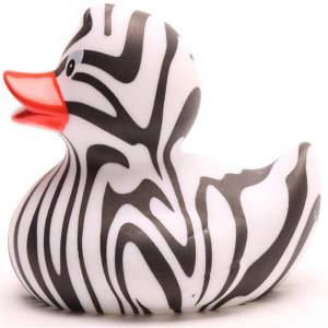 (image for) Zebra Duck
