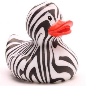(image for) Zebra Duck