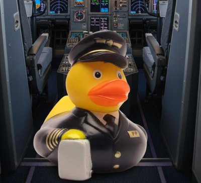 Airplane Pilot Duck (image for) Airplane Pilot Duck