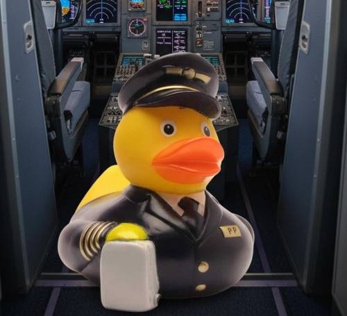 (image for) Airplane Pilot Duck